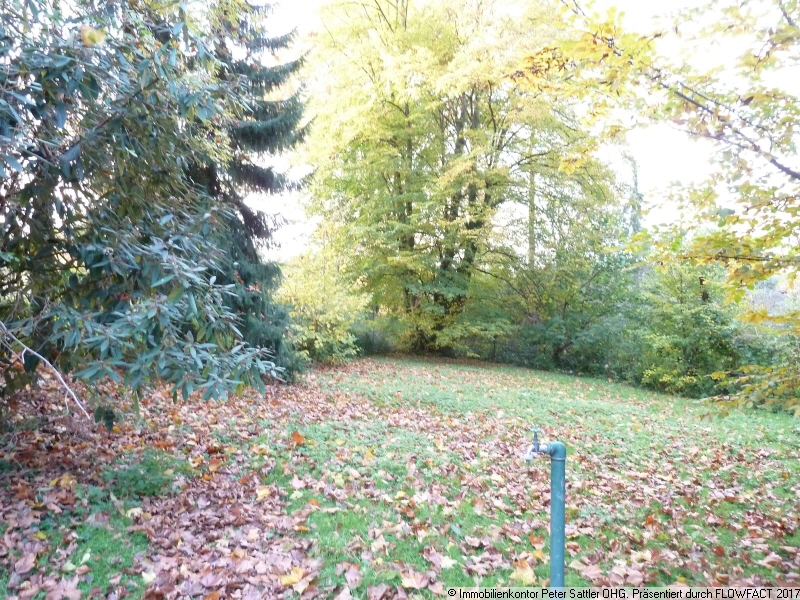 image014 Grundst�ck Bonn
