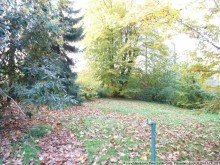image014 Ippendorf: beplant - baureif - gro�z�gig!